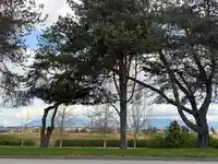 25 9551 FERNDALE ROAD - thumbnail 25