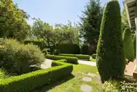 6311 ADERA STREET - thumbnail 3