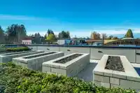 213 27218 ALDERGROVE TOWN CENTRE DRIVE - thumbnail 31