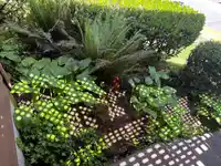 507 CAMBRIDGE WAY - thumbnail 29