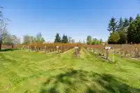 22899 14 AVENUE - thumbnail 36