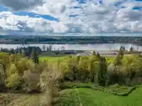 25655 LOUGHEED HIGHWAY - thumbnail 2
