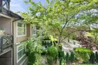 331 18818 68 AVENUE - thumbnail 19