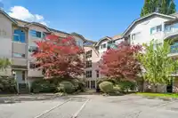 107 5419 201A STREET - thumbnail 23