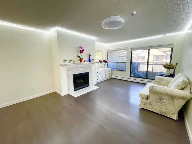312 8591 WESTMINSTER HIGHWAY - photo 3 of 20