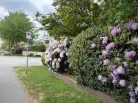 158 10077 156 STREET - thumbnail 39