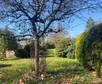 2560 WELLINGTON CRESCENT - thumbnail 3