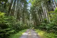11668 272 STREET - thumbnail 36
