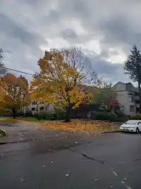 115 5224 204 STREET - thumbnail 1