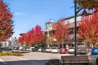 14 20852 77A AVENUE - thumbnail 29