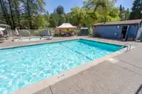 1995 ELIZABETH DRIVE - thumbnail 36