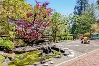 2138 BRAESIDE PLACE - thumbnail 35