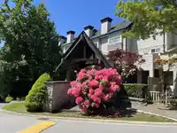 61 3711 ROBSON COURT - thumbnail 25