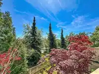 61 3711 ROBSON COURT - thumbnail 10