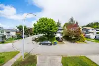 124 SPRINGFIELD DRIVE - thumbnail 21
