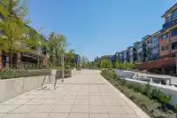601 8558 202B STREET - thumbnail 26