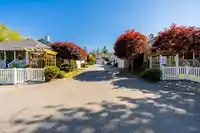9 20788 87 AVENUE - thumbnail 33