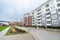 B121 8150 207 STREET - thumbnail 10