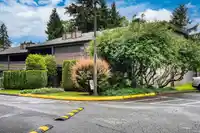 1216 34909 OLD YALE ROAD - thumbnail 38