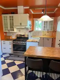 105 DURHAM STREET - thumbnail 21