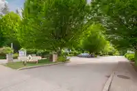 302 9018 208 STREET - thumbnail 2