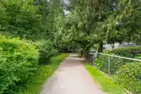 302 9018 208 STREET - thumbnail 36