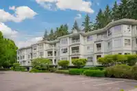 302 9018 208 STREET - thumbnail 38