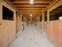29598 GALAHAD CRESCENT - thumbnail 35