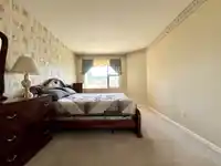 501 8238 SABA ROAD - thumbnail 9