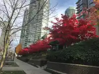 TH2 2077 ROSSER AVENUE - thumbnail 33