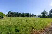 5728 BRADNER ROAD - thumbnail 6