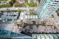 2504 4398 BUCHANAN STREET - thumbnail 20