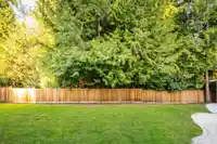 4224 196B STREET - thumbnail 30