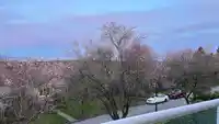 3655 QUESNEL DRIVE - thumbnail 35