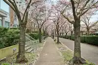 TH4 1889 ROSSER AVENUE - thumbnail 2