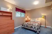26575 30A AVENUE - thumbnail 29