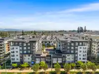 a413 20834 80 AVENUE - thumbnail 6