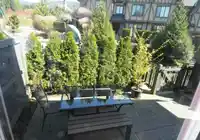 76 3306 PRINCETON AVENUE - thumbnail 14