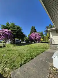 2280 ALEXANDER CRESCENT - thumbnail 5
