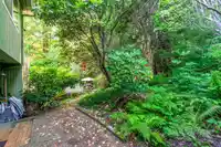 5261 CLIFFRIDGE AVENUE - thumbnail 22