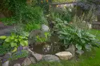 20480 TELEGRAPH TRAIL - thumbnail 33