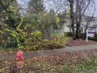 8468 HUDSON STREET - thumbnail 3