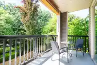 223 5655 210A STREET - thumbnail 20