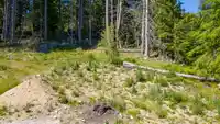 4549 MERRILL ROAD - thumbnail 16