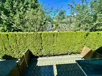 10 8091 WILLIAMS ROAD - thumbnail 8