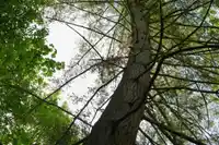 21326 48 AVENUE - thumbnail 12