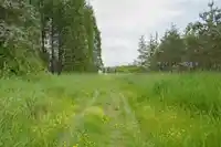 21326 48 AVENUE - thumbnail 19