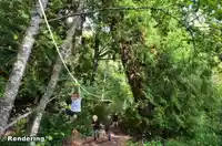 21326 48 AVENUE - thumbnail 36
