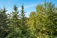 38 35287 OLD YALE ROAD - thumbnail 16