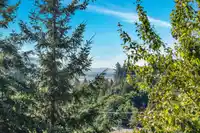 38 35287 OLD YALE ROAD - thumbnail 17